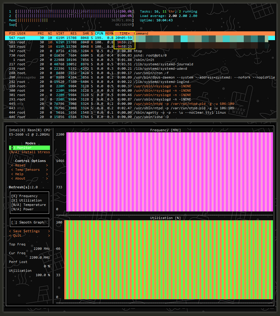 VmShell -香港300MBps新商家 最新评测-