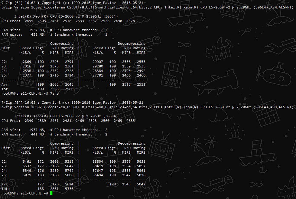 VmShell -香港300MBps新商家 最新评测-