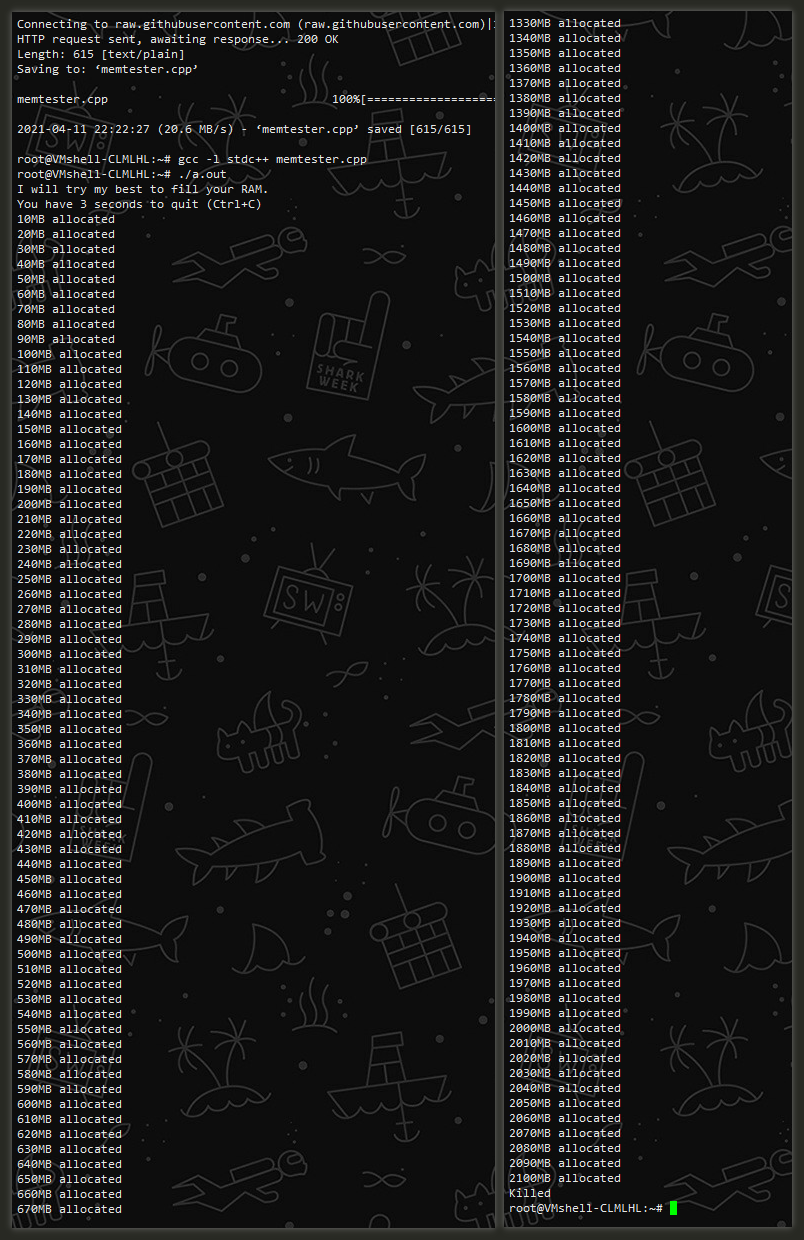 VmShell -香港300MBps新商家 最新评测-