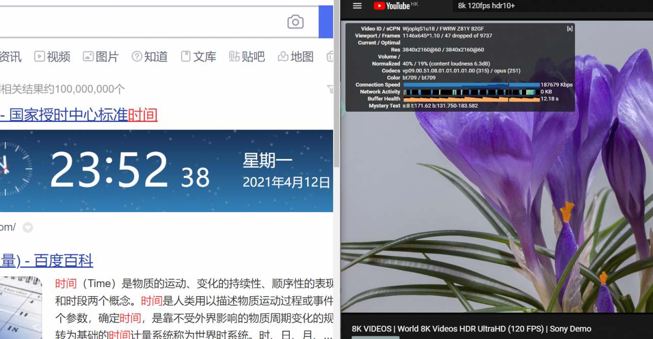 VmShell -香港300MBps新商家 最新评测-