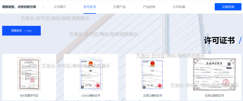 免费国内高防云BGP游戏服务器，香港CTG，美国CERA，精品云主机物理机一手渠道-